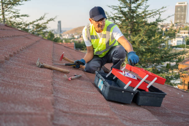 Best Carpet Removal and Disposal  in Kewaunee, WI